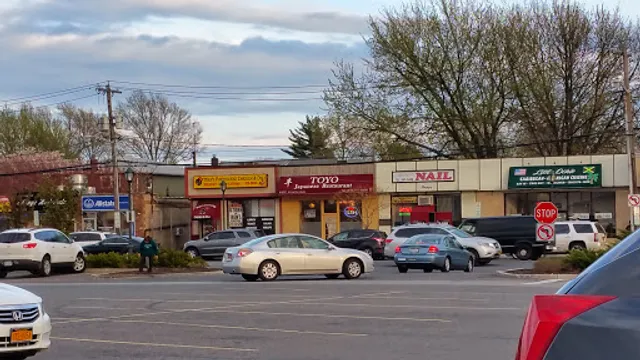 TOYO JAPANESE RESTAURANT