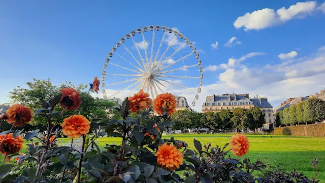 Paris Ferris Wheel