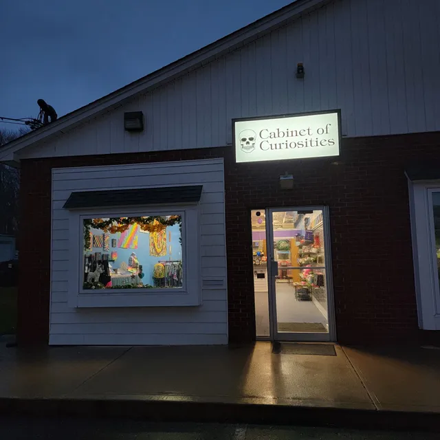 Cabinet of Curiosities