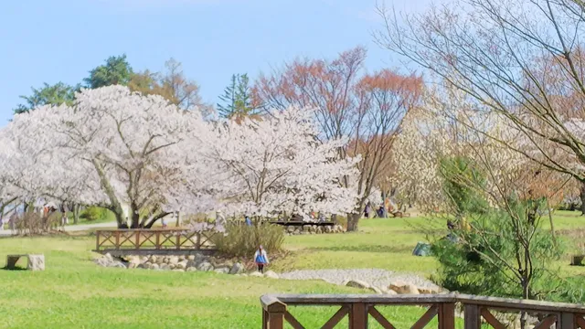Matsumoto City Alps Park