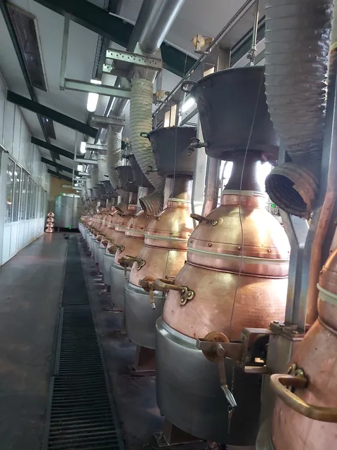 Destilería Sierra del Oso