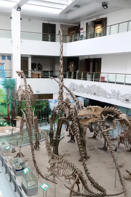 Shaw Museum of China University of Geosciences