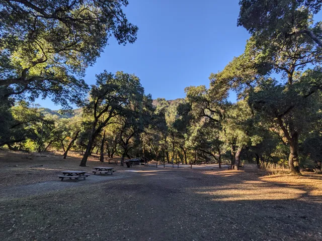 Madrone Picnic Area