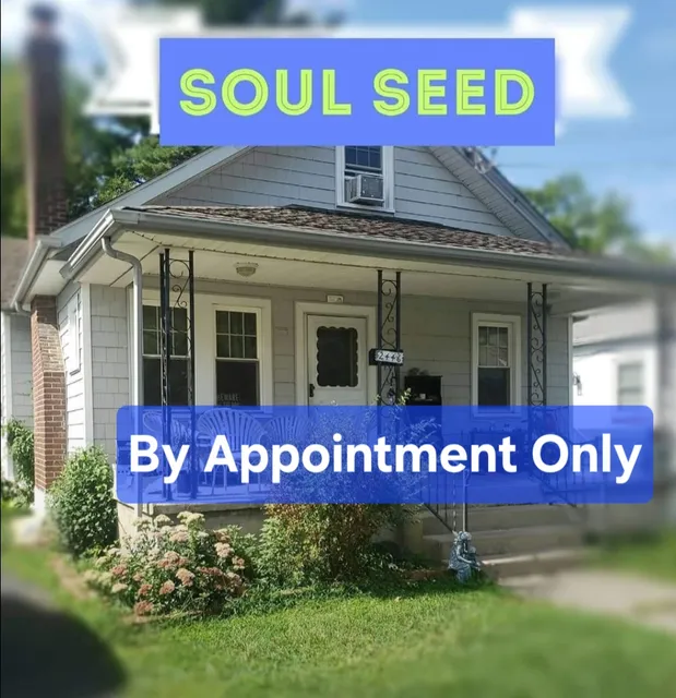Soul Seed