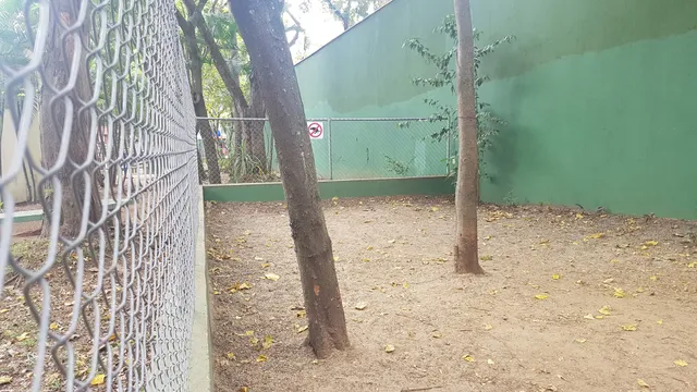 ParCão Eucaliptos - Krause