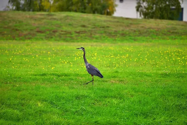 Tangent Business Park