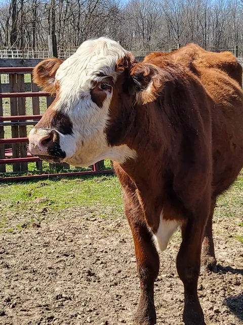 Anderson family farms and distillery