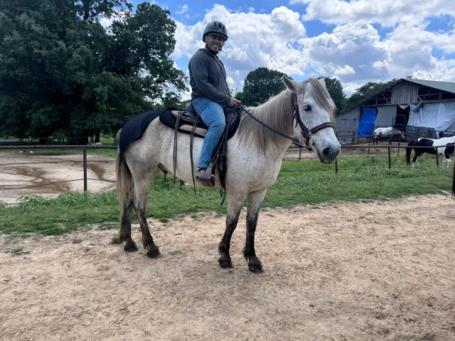 Shelby Farms Stables