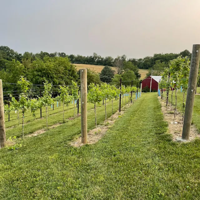 Sam Hill Springs Winery