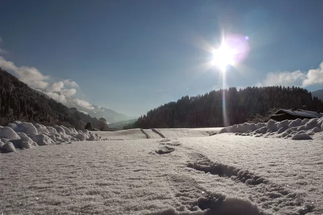 Appartements Haus Schatzbergblick