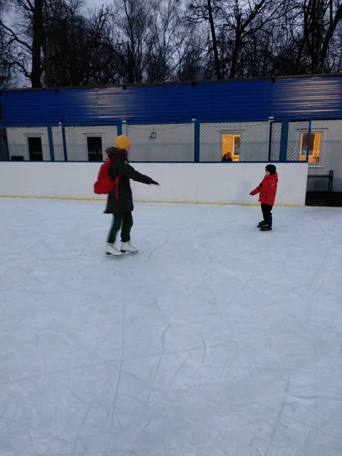 Katok S Iskusstvennym L'dom