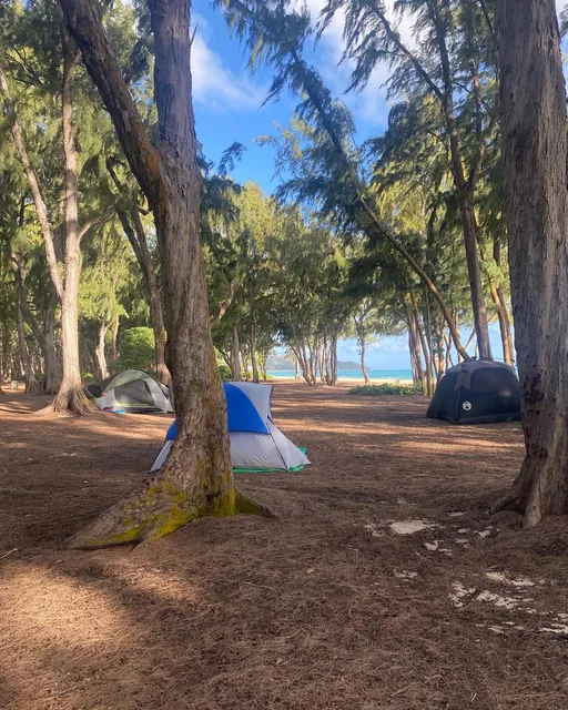 Hūnānāniho Campsite