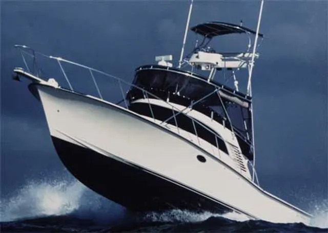 Afishinados Charters