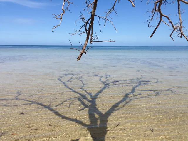 Kaibigan Soulcamp Palawan