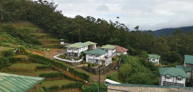 Forest View Lodge