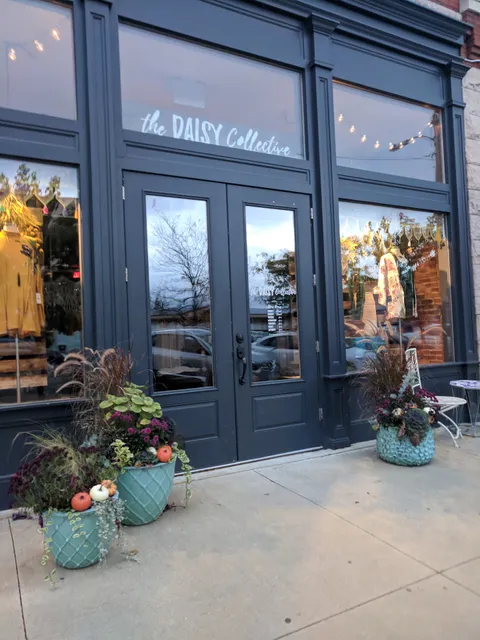 THE DAISY COLLECTIVE