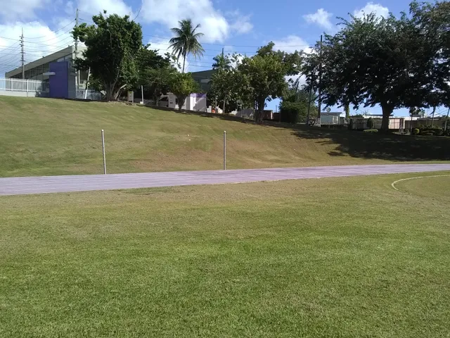 Universidad Central de Bayamón