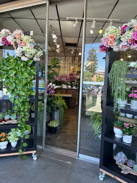 Floral Design by Dave's Flowers