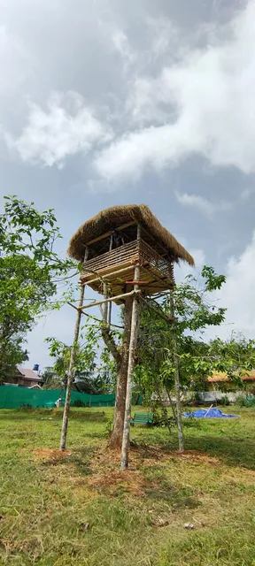 Wayanad Three Roots Stay