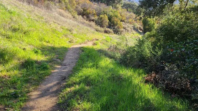 Backbone Trail Access at Old Topanga