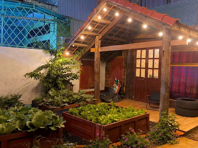 Voi vui vẻ homestay