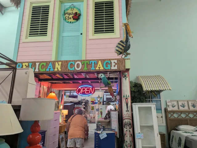 Pelicans and Flamingos