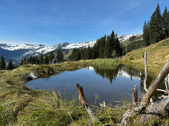Ferienwohnungen Neuhof Maishofen