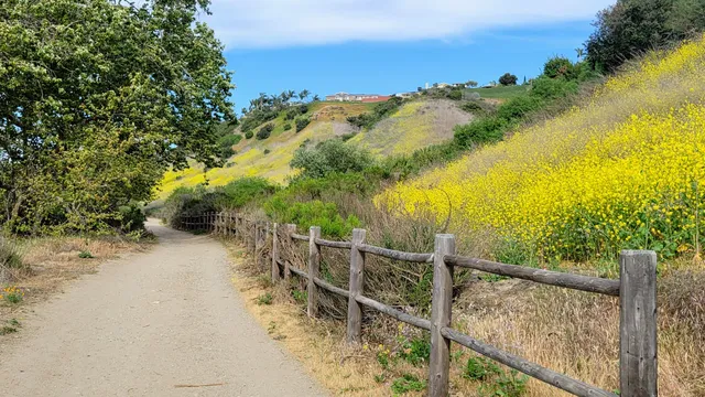 Rose Canyon Trailhead
