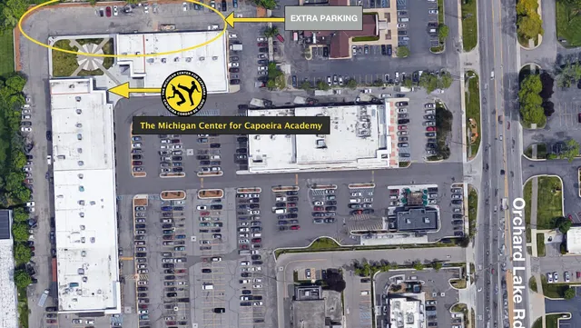 The Michigan Center for Capoeira