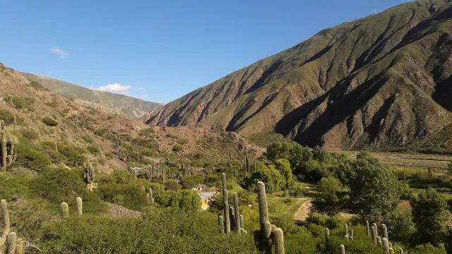 Cabañas Juella Adentro