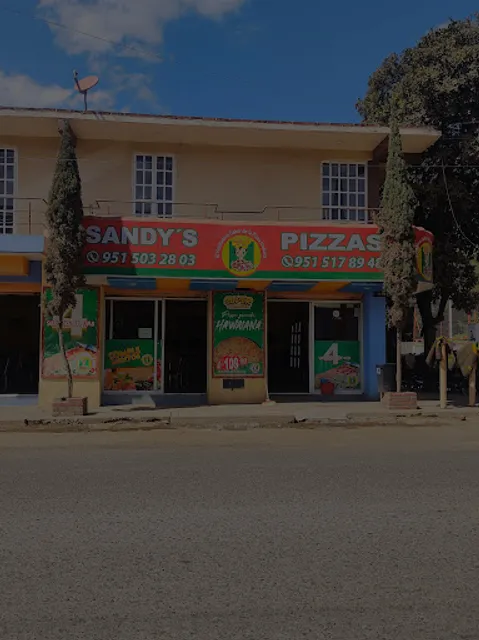 Sandy's Pizza