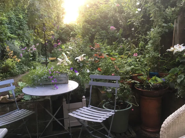 Arts&BichonsB&B Oxford OX4 3AY