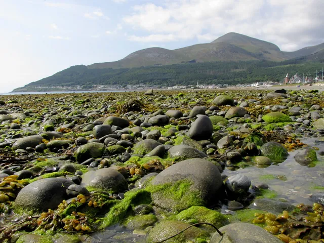 Newcastle Beach Playground