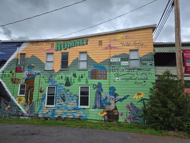 Wild Roots Cafe & Co.