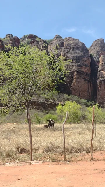 Capivara Residência Artística