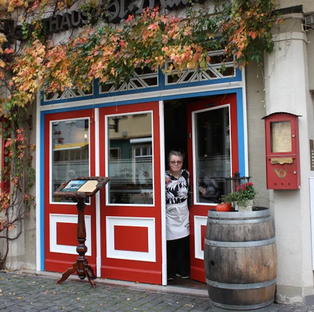 Guest house "St. Martin"