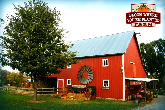 Bloom Farm and Pumpkin Patch