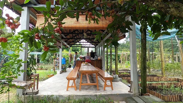 Vườn Nhà Ngoại Garden Homestay