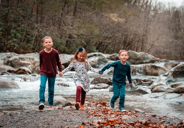 Smokies Fine Art Photography