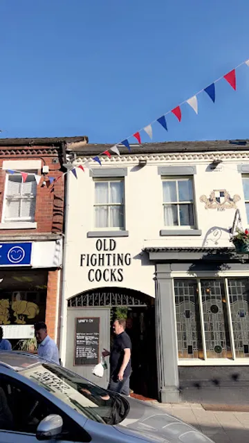 Old Fighting Cocks