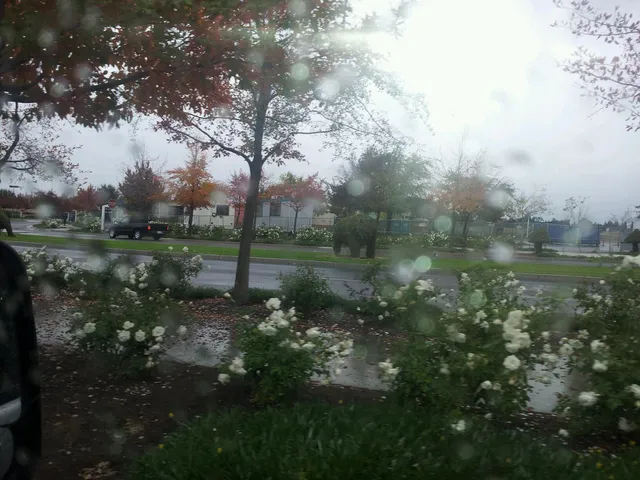 Porterville Parks Division