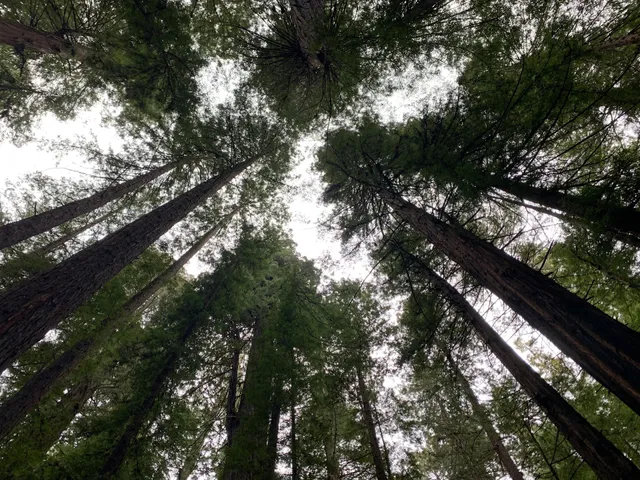 Gould Grove Nature Trail Head