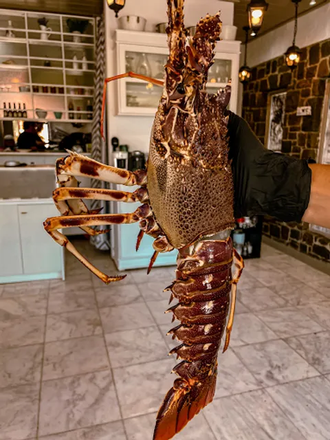 Aspri Avli Restaurant