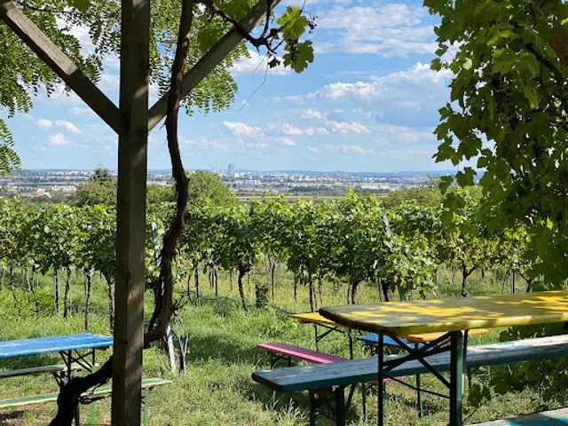 Buschenschank Knizak im Weingarten
