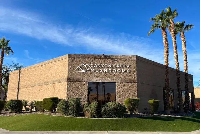 Canyon Creek Mushrooms