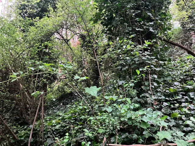 Fairy Gates Trailhead