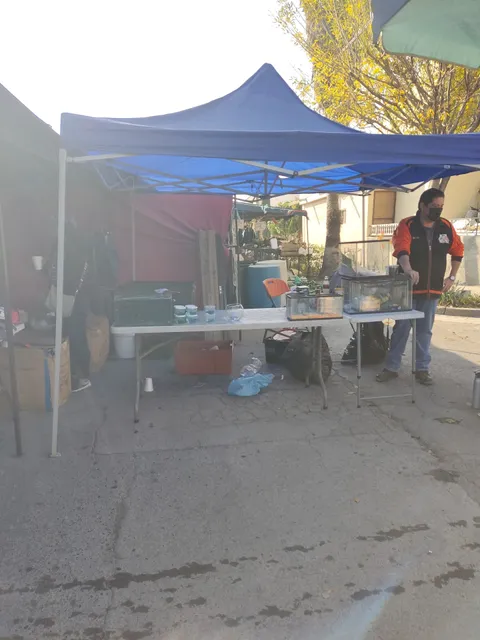 Mercadito Constituyentes 2do sector