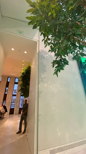 Apple Carnegie Library