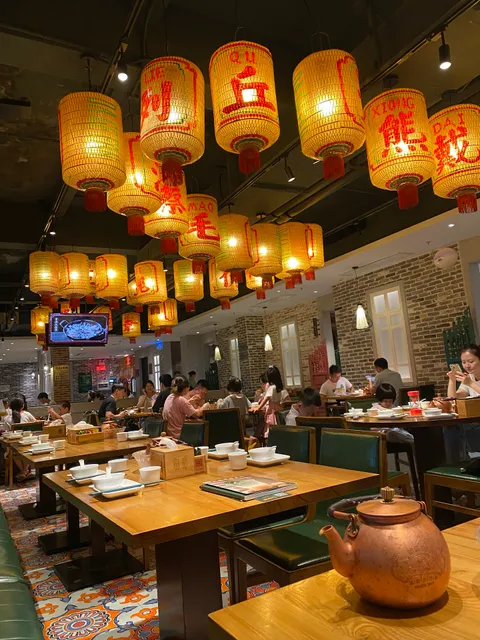 Dagefan Baby Pigeon Specialty Store