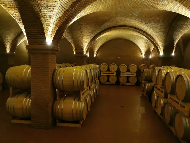 Le Morette - Az.Agr. Valerio Zenato